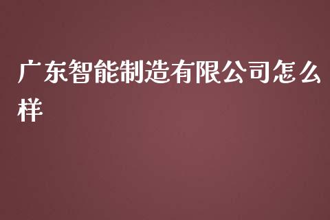 广东智能制造有限公司怎么样_https://wap.fcdydaikuan.com_期货品种_第1张