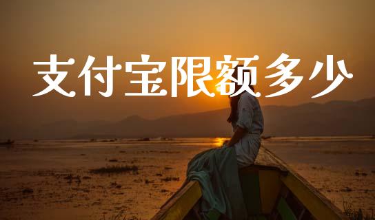 支付宝限额多少_金融机构_第1张_国际投资_理财顾问_投资策略_金融机构 支付宝限额多少_https://wap.fcdydaikuan.com_金融机构_第1张