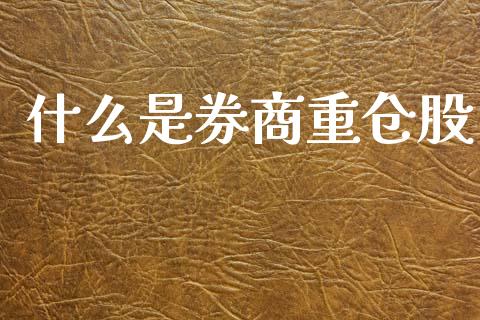什么是券商重仓股_https://wap.fcdydaikuan.com_期货品种_第1张
