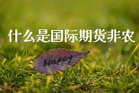 什么是国际期货非农_https://wap.fcdydaikuan.com_期货品种_第1张