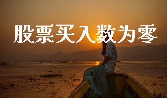 股票买入数为零_https://wap.fcdydaikuan.com_理财顾问_第1张
