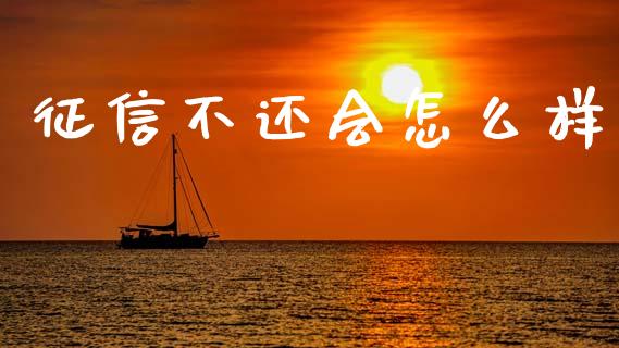 征信不还会怎么样_https://wap.fcdydaikuan.com_国际投资_第1张