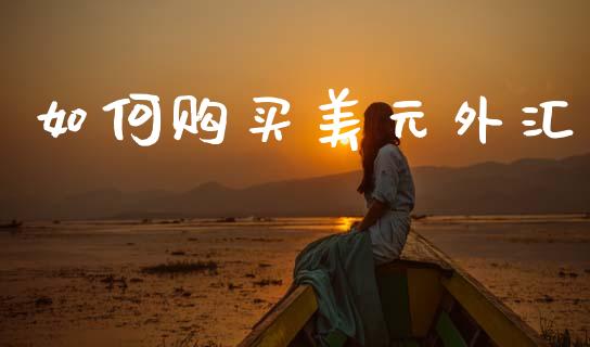 如何购买美元外汇_https://wap.fcdydaikuan.com_金融机构_第1张