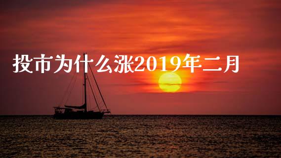 投市为什么涨2019年二月_https://wap.fcdydaikuan.com_期货品种_第1张