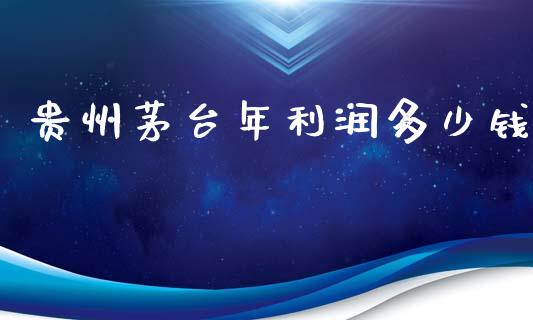 贵州茅台年利润多少钱_https://wap.fcdydaikuan.com_理财顾问_第1张