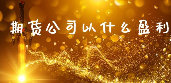 期货公司以什么盈利_https://wap.fcdydaikuan.com_投资策略_第1张
