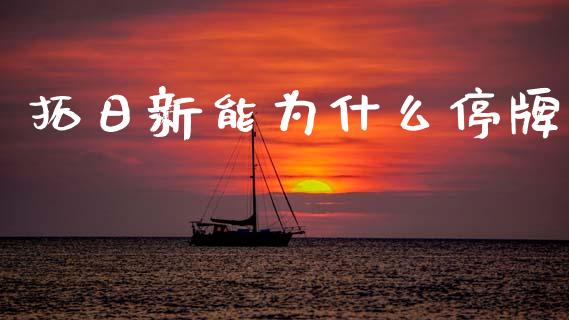 拓日新能为什么停牌_https://wap.fcdydaikuan.com_理财顾问_第1张