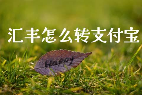 汇丰怎么转支付宝_https://wap.fcdydaikuan.com_理财顾问_第1张