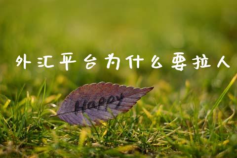 外汇平台为什么要拉人_https://wap.fcdydaikuan.com_理财顾问_第1张