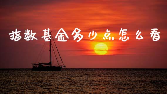 指数基金多少点怎么看_https://wap.fcdydaikuan.com_新股数据_第1张