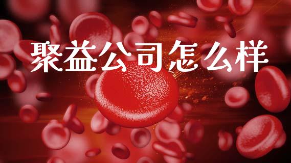 聚益公司怎么样_https://wap.fcdydaikuan.com_理财顾问_第1张