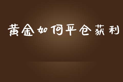 黄金如何平仓获利_https://wap.fcdydaikuan.com_金融机构_第1张