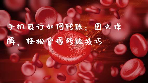 手机农行如何转账：图文详解，轻松掌握转账技巧_https://wap.fcdydaikuan.com_投资策略_第1张