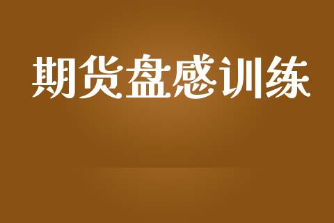 期货盘感训练_https://wap.fcdydaikuan.com_期货品种_第1张