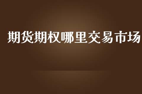期货期权哪里交易市场_https://wap.fcdydaikuan.com_金融机构_第1张