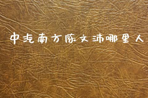 中汽南方陈文沛哪里人_https://wap.fcdydaikuan.com_金融机构_第1张