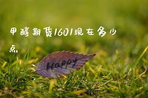 甲醇期货1601现在多少点_https://wap.fcdydaikuan.com_理财顾问_第1张