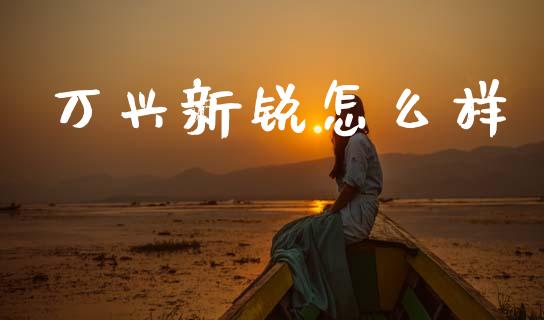万兴新锐怎么样_https://wap.fcdydaikuan.com_新股数据_第1张