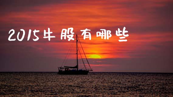 2015牛股有哪些_https://wap.fcdydaikuan.com_理财顾问_第1张