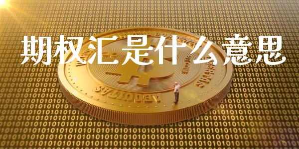 期权汇是什么意思_https://wap.fcdydaikuan.com_国际投资_第1张