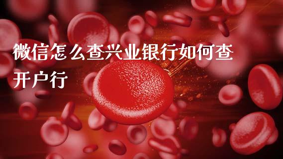微信怎么查兴业银行如何查开户行_https://wap.fcdydaikuan.com_期货品种_第1张