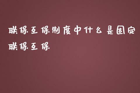 联保互保制度中什么是固定联保互保_https://wap.fcdydaikuan.com_理财顾问_第1张