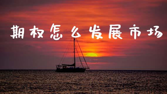 期权怎么发展市场_https://wap.fcdydaikuan.com_期货品种_第1张