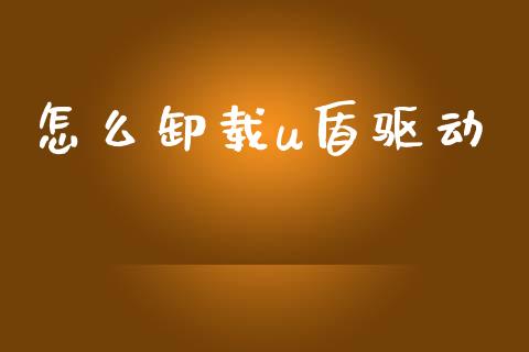 怎么卸载u盾驱动_https://wap.fcdydaikuan.com_新股数据_第1张