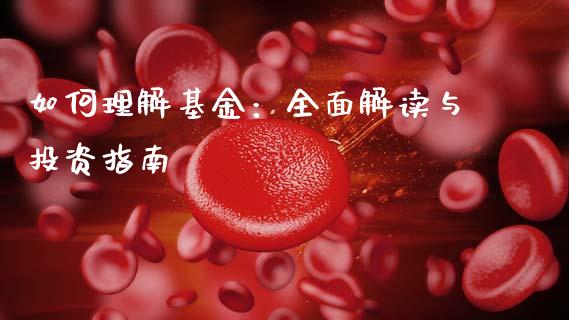 如何理解基金：全面解读与投资指南_https://wap.fcdydaikuan.com_国际投资_第1张