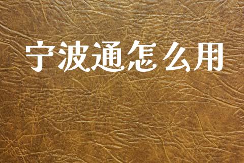 宁波通怎么用_https://wap.fcdydaikuan.com_金融机构_第1张