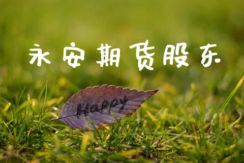 永安期货股东_https://wap.fcdydaikuan.com_投资策略_第1张