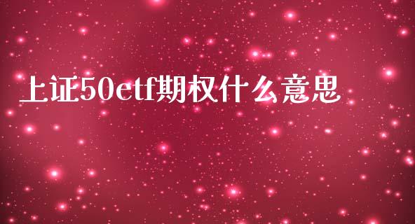 上证50etf期权什么意思_https://wap.fcdydaikuan.com_投资策略_第1张