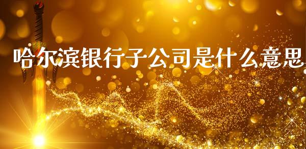 哈尔滨银行子公司是什么意思_https://wap.fcdydaikuan.com_金融机构_第1张