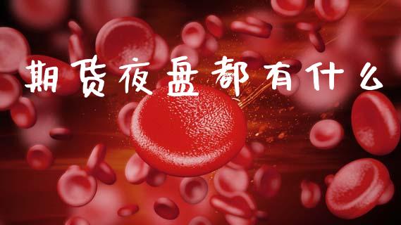 期货夜盘都有什么_https://wap.fcdydaikuan.com_理财顾问_第1张
