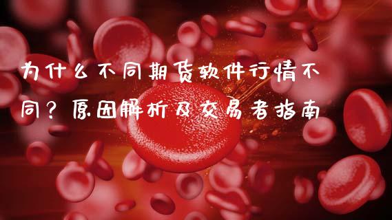为什么不同期货软件行情不同？原因解析及交易者指南_https://wap.fcdydaikuan.com_金融机构_第1张
