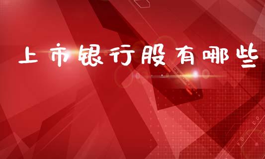 上市银行股有哪些_https://wap.fcdydaikuan.com_金融机构_第1张