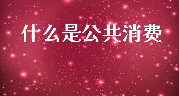 什么是公共消费_https://wap.fcdydaikuan.com_金融机构_第1张