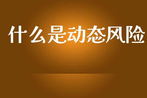 什么是动态风险_https://wap.fcdydaikuan.com_金融机构_第1张