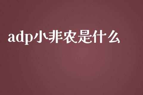adp小非农是什么_https://wap.fcdydaikuan.com_金融机构_第1张
