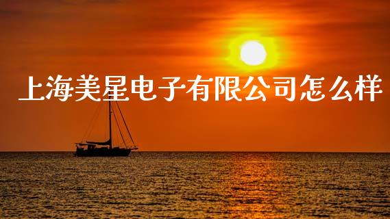 上海美星电子有限公司怎么样_https://wap.fcdydaikuan.com_期货品种_第1张