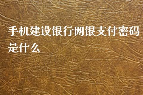 手机建设银行网银支付密码是什么_https://wap.fcdydaikuan.com_投资策略_第1张