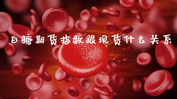 白糖期货指数跟现货什么关系_https://wap.fcdydaikuan.com_理财顾问_第1张