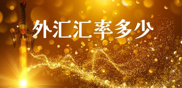 外汇汇率多少_https://wap.fcdydaikuan.com_投资策略_第1张