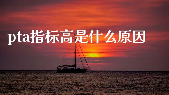 pta指标高是什么原因_https://wap.fcdydaikuan.com_国际投资_第1张