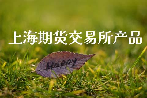 上海期货交易所产品_https://wap.fcdydaikuan.com_理财顾问_第1张