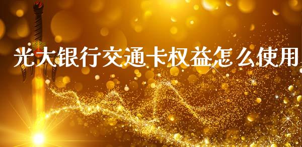 光大银行交通卡权益怎么使用_https://wap.fcdydaikuan.com_期货品种_第1张