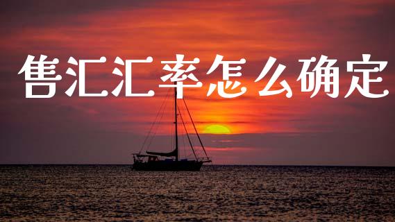 售汇汇率怎么确定_https://wap.fcdydaikuan.com_理财顾问_第1张