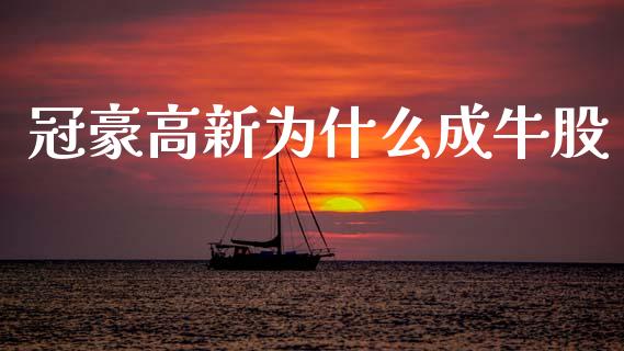 冠豪高新为什么成牛股_https://wap.fcdydaikuan.com_期货品种_第1张