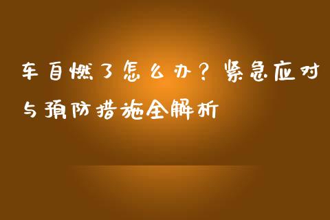 车自燃了怎么办？紧急应对与预防措施全解析_https://wap.fcdydaikuan.com_国际投资_第1张