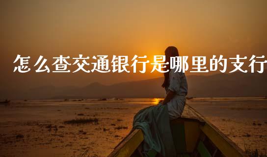 怎么查交通银行是哪里的支行_https://wap.fcdydaikuan.com_新股数据_第1张